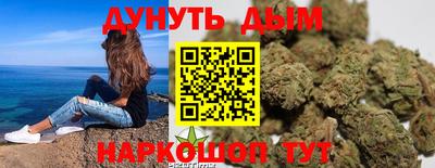 МДПВ Дубна