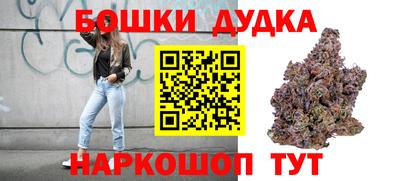 МДПВ Дубна