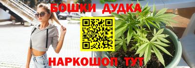 МДПВ Дубна
