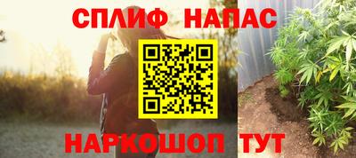МДПВ Дубна