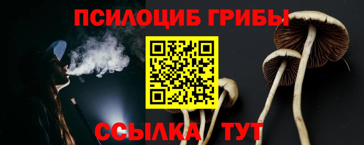 Галлюциногенные грибы ЛСД Губкин